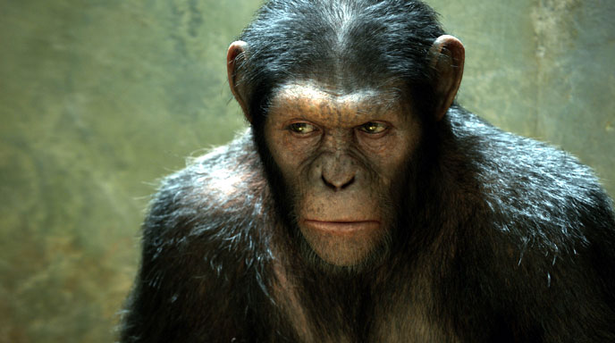 http://www.critique-film.fr/wp-content/uploads/2011/08/photo-la-planete-des-singes-les-origines-rise-of-the-planet-of-the-apes-2011-9.jpg