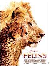 Félins documentaire