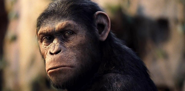 Andy Serkis signe avec la Fox pour une suite de La Planète des singes : les origines