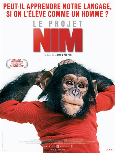 Jeu concours Le Projet Nim