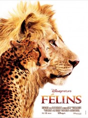 L'affiche de Felins de Keith Scholey