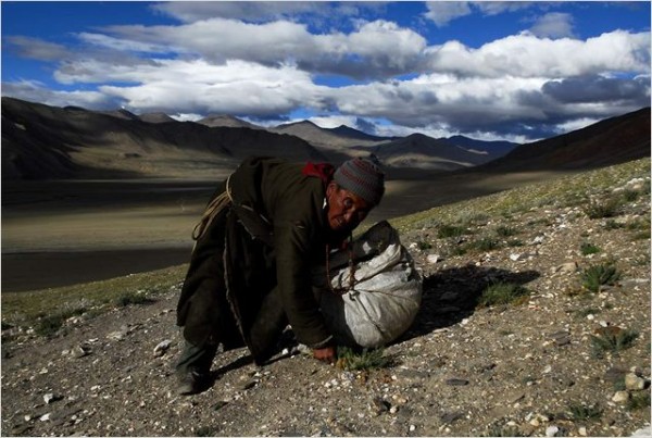 La Nuit Nomade, photo du film documentaire