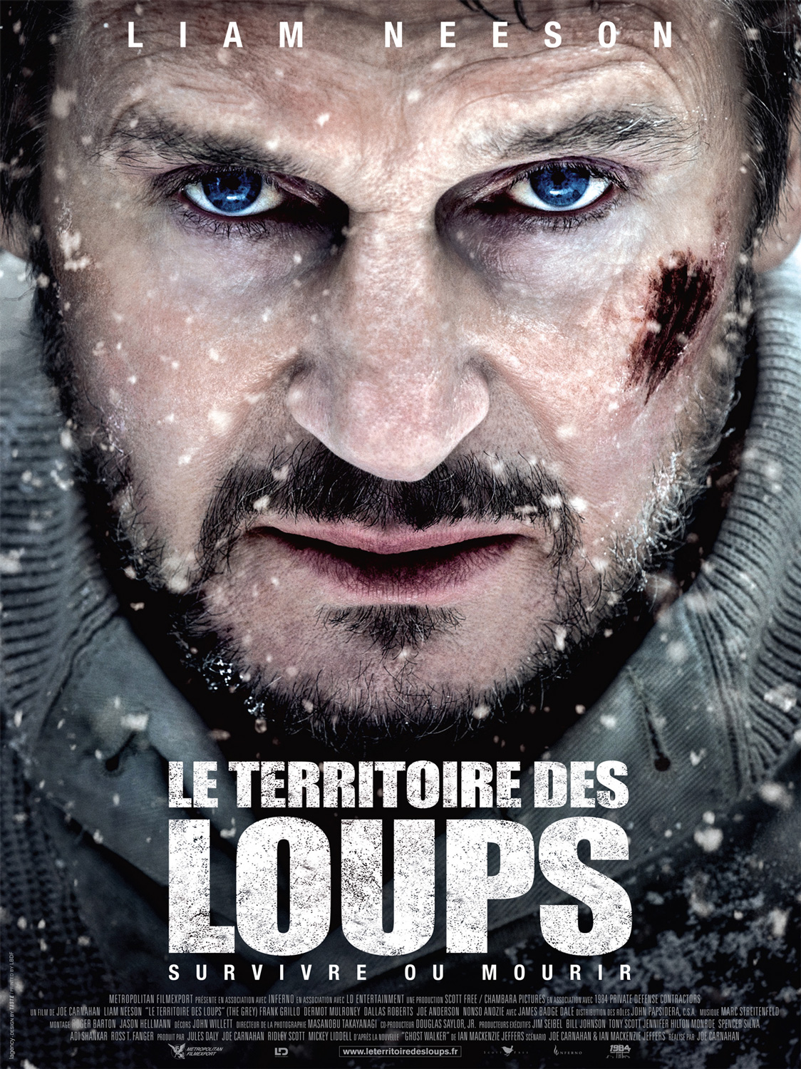 http://www.critique-film.fr/wp-content/uploads/2012/01/Le-Territoire-des-Loups-Affiche-France.jpg