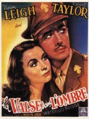 La Valse dans l'ombre, l'affiche (jacquette) du film