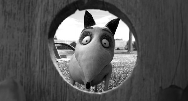 Jeu concours Frankenweenie en DVD et Blu-ray