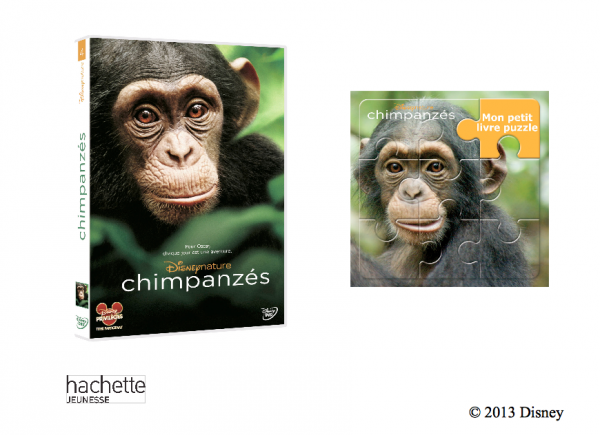 jeu concours chimpanzés