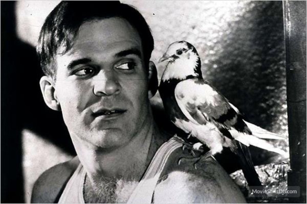 steve martin les cadavres ne portent pas de costard