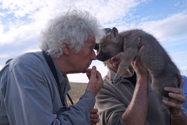 Le dernier loup jean jacques annaud