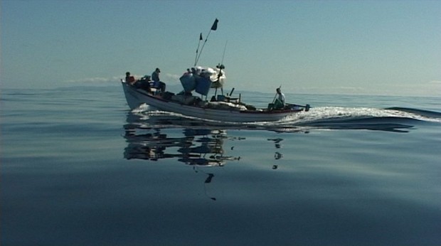 le chant d'une île 05