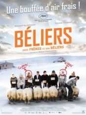 béliers affiche 1