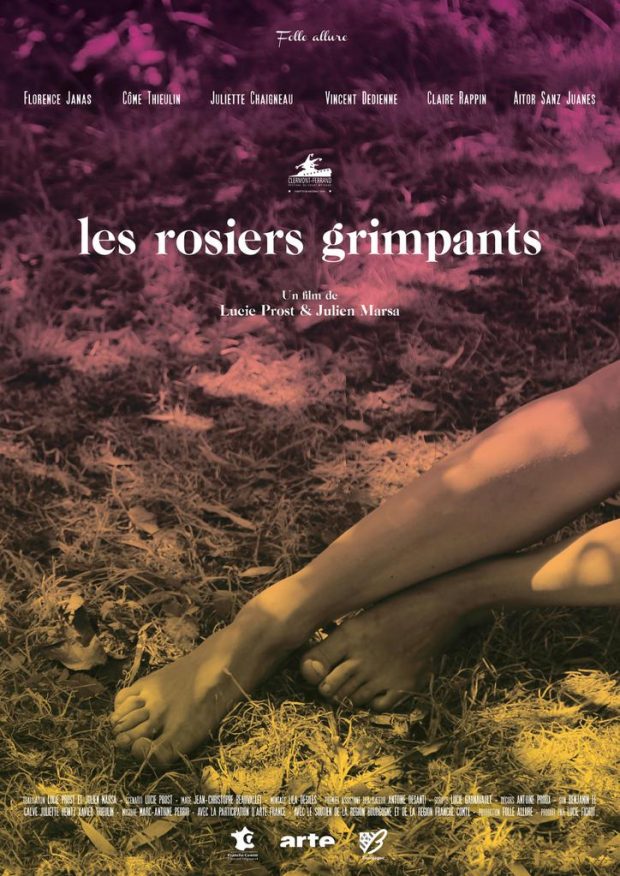 les rosiers grimpants affiche