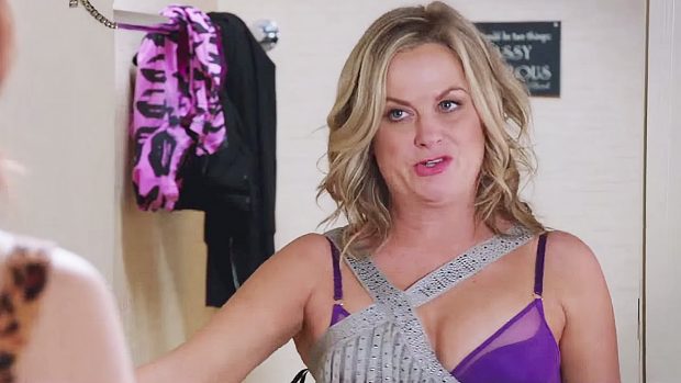 amy-poehler-sisters