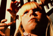 Critique : Chromosome 3 (The Brood)