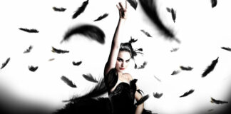 Critique : Black Swan