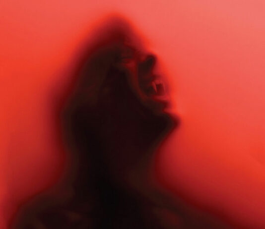 Test Blu-ray : True Blood – L’intégrale de la Saison 6