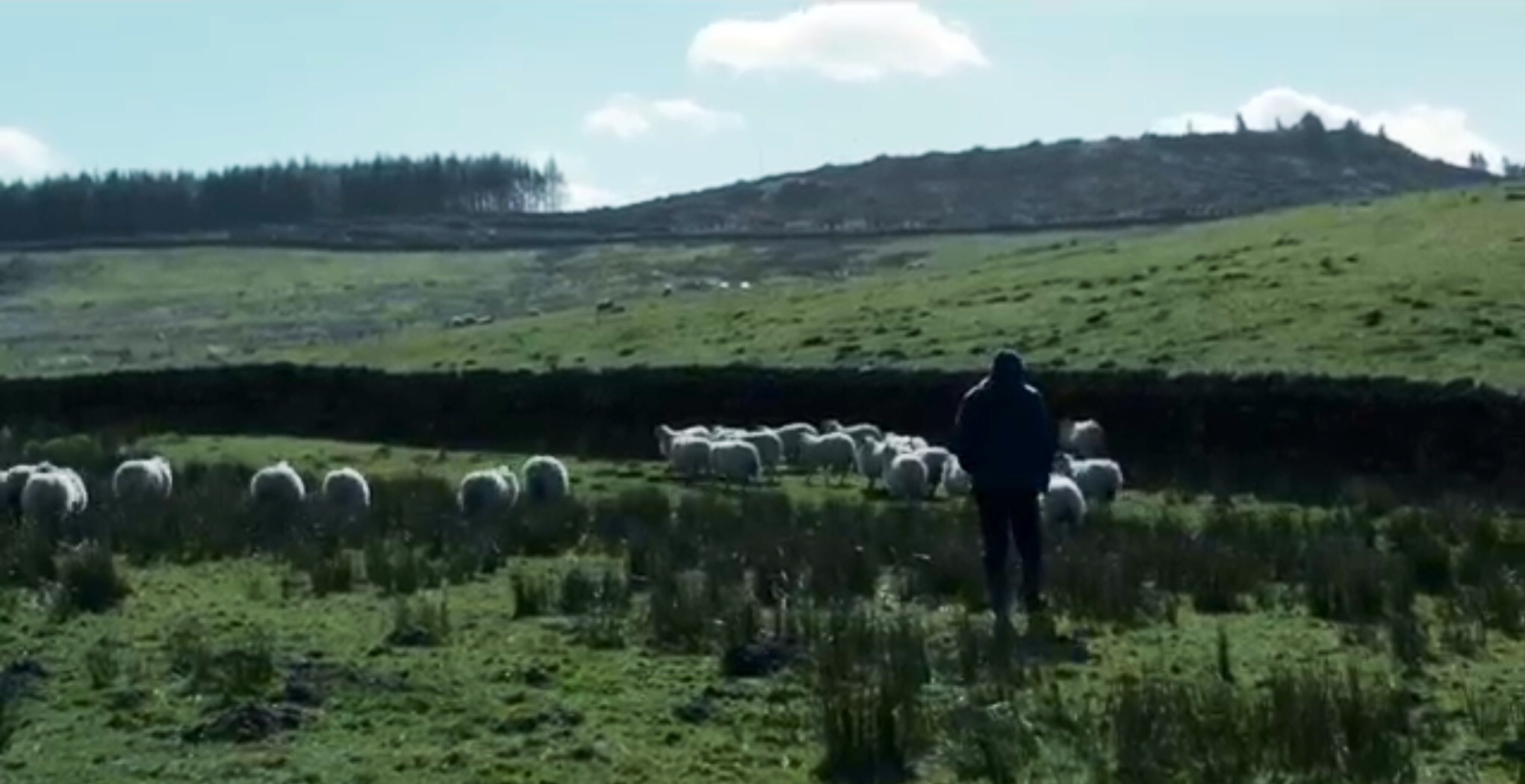 Critique : Seule la terre - Critique Film