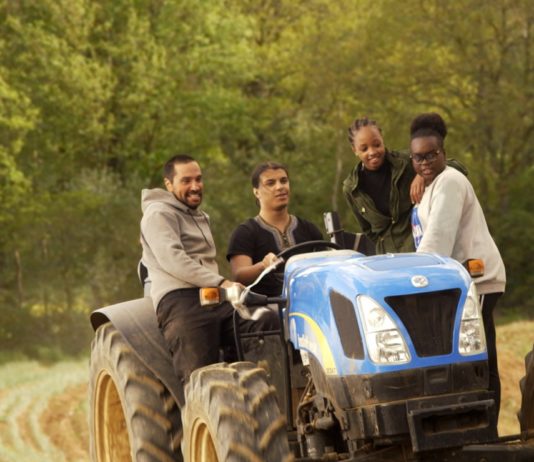 Critique : Douce France