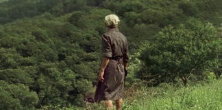 Test DVD : Viendra le feu