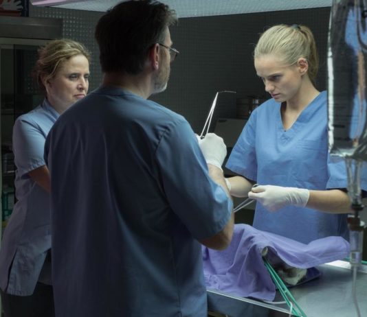 Sortie DVD : Les Vétos