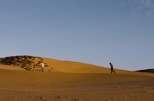 Les sorties des 14 et 15 juillet 2020