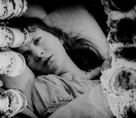 Les sorties du 5 août 2020