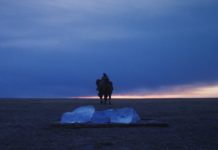 Les sorties du 19 août 2020