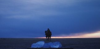 Les sorties du 19 août 2020