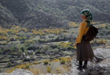 Les sorties du 16 septembre 2020