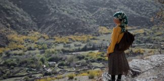 Les sorties du 16 septembre 2020