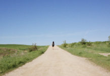 Critique : Sur la route de compostelle