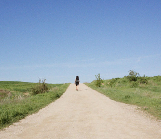 Critique : Sur la route de compostelle