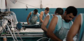 Les sorties du 7 octobre 2020