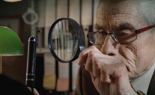 La Roche-sur-Yon 2020 : The Mole Agent