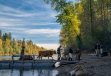 New York Film Critics 2021 : le palmarès