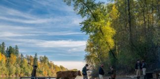 New York Film Critics 2021 : le palmarès