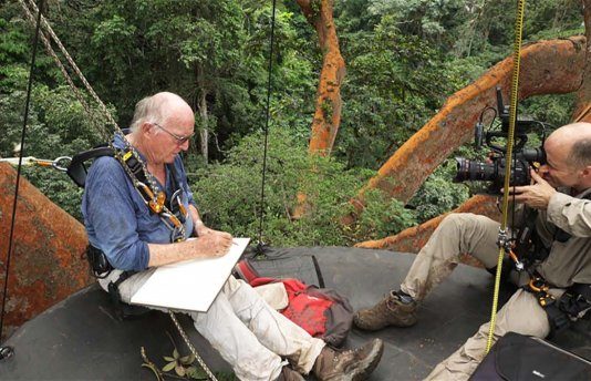 Critique : Poumon vert et tapis rouge