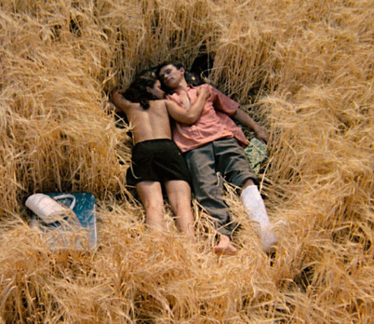 Test DVD : Rêves en rose – Édition Collector