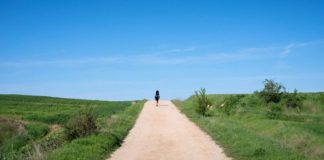 Test DVD : Sur la route de Compostelle