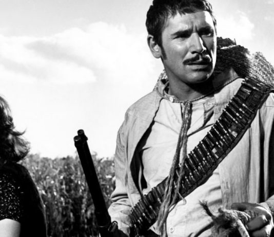 Test Blu-ray : Le goût de la violence