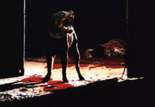 Test Blu-ray : Rottweiler