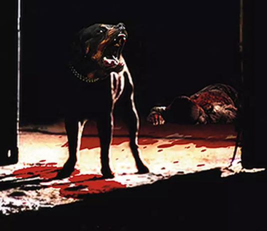 Test Blu-ray : Rottweiler