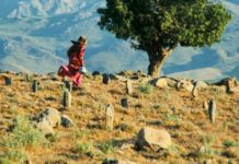 De retour en salles au mois de juin 2021