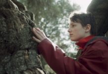 Critique : Sème le vent