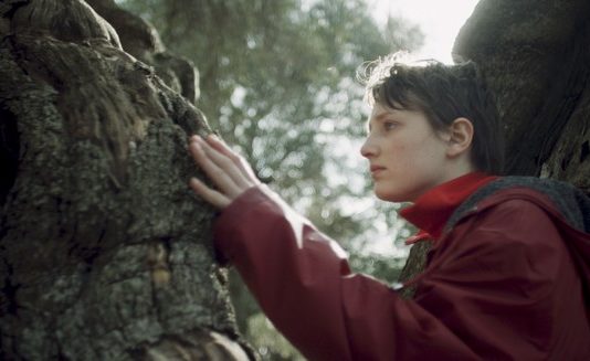 Critique : Sème le vent