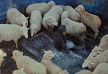 Critique : L’indomptable feu du printemps