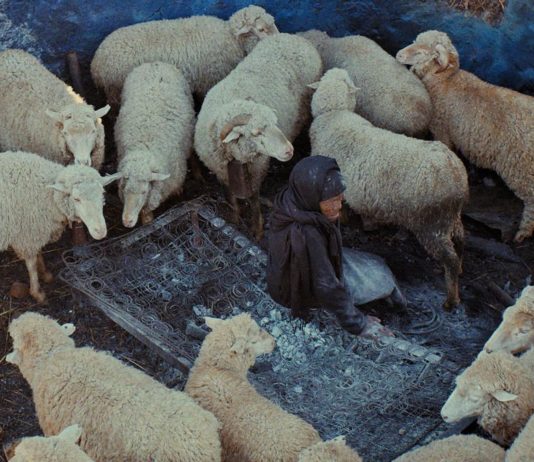 Critique : L’indomptable feu du printemps