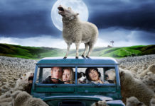 Test Blu-ray : Black Sheep