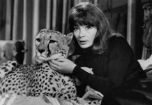 Test Blu-ray : Maléfices