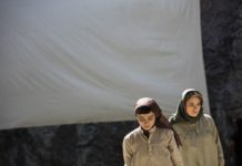 Les sorties du 3 novembre 2021