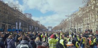 Albi 2021 : Un peuple